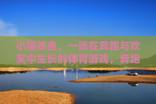 小猫抓鱼,一场在奔跑与欢笑中生长的体育游戏,奔跑欢笑,小猫抓鱼乐成长 小猫抓鱼,一场在奔跑与欢笑中生长的体育游戏,奔跑欢笑,小猫抓鱼乐成长