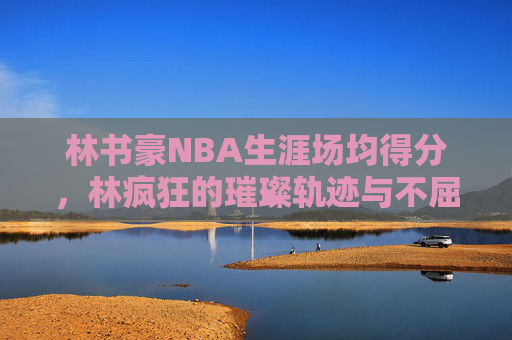 林书豪NBA生涯场均得分，林疯狂的璀璨轨迹与不屈坚守