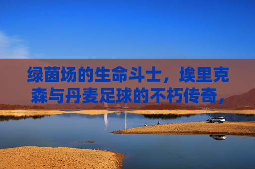 绿茵场的生命斗士,埃里克森与丹麦足球的不朽传奇,绿茵斗士埃里克森与丹麦足球不朽传奇 绿茵场的生命斗士,埃里克森与丹麦足球的不朽传奇,绿茵斗士埃里克森与丹麦足球不朽传奇