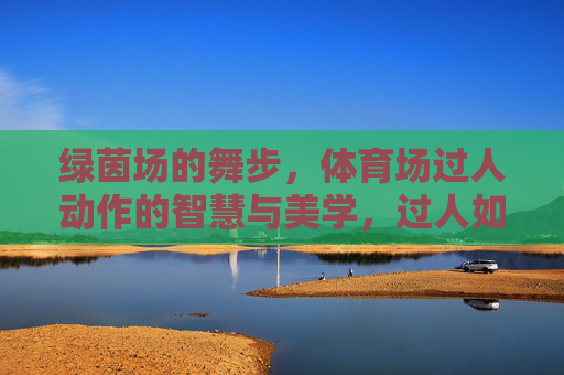绿茵场的舞步,体育场过人动作的智慧与美学,过人如舞,绿茵场的智慧与美学 绿茵场的舞步,体育场过人动作的智慧与美学,过人如舞,绿茵场的智慧与美学