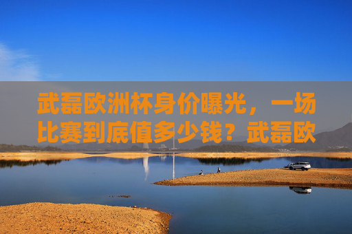 武磊欧洲杯身价曝光,一场比赛到底值多少钱?武磊欧洲杯单场身价曝光,一场比赛到底值多少钱? 武磊欧洲杯身价曝光,一场比赛到底值多少钱?武磊欧洲杯单场身价曝光,一场比赛到底值多少钱?