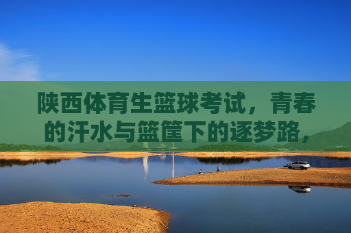 陕西体育生篮球考试，青春的汗水与篮筐下的逐梦路，陕西体育生篮球考试，汗水浇灌篮筐下的青春逐梦路
