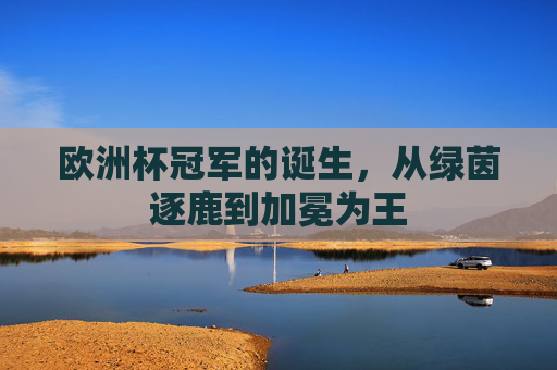 欧洲杯冠军的诞生,从绿茵逐鹿到加冕为王 欧洲杯冠军的诞生,从绿茵逐鹿到加冕为王