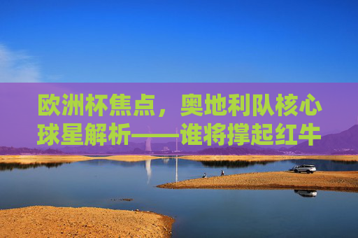欧洲杯焦点,奥地利队核心球星解析——谁将撑起红牛军团的进攻与防线?欧洲杯焦点,奥地利核心球星解析——红牛军团攻防谁来撑? 欧洲杯焦点,奥地利队核心球星解析——谁将撑起红牛军团的进攻与防线?欧洲杯焦点,奥地利核心球星解析——红牛军团攻防谁来撑?