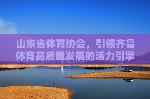 山东省体育协会,引领齐鲁体育高质量发展的活力引擎,山东省体育协会,齐鲁体育高质量发展的活力引擎 山东省体育协会,引领齐鲁体育高质量发展的活力引擎,山东省体育协会,齐鲁体育高质量发展的活力引擎