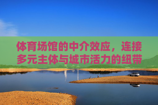 体育场馆的中介效应，连接多元主体与城市活力的纽带，体育场馆的中介效应，多元主体与城市活力的纽带