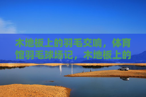 木地板上的羽毛交响,体育馆羽毛球场记,木地板上的羽毛交响 木地板上的羽毛交响,体育馆羽毛球场记,木地板上的羽毛交响