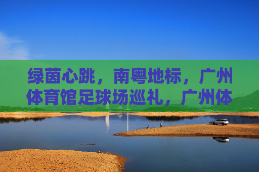 绿茵心跳,南粤地标,广州体育馆足球场巡礼,广州体育馆足球场,绿茵心跳与南粤地标巡礼 绿茵心跳,南粤地标,广州体育馆足球场巡礼,广州体育馆足球场,绿茵心跳与南粤地标巡礼