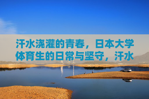 汗水浇灌的青春,日本大学体育生的日常与坚守,汗水铸就青春,日本大学体育生的日常坚守 汗水浇灌的青春,日本大学体育生的日常与坚守,汗水铸就青春,日本大学体育生的日常坚守