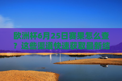 欧洲杯6月25日赛果怎么查？这些渠道快速获取最新结果，欧洲杯6月25日赛果查询，快速获取最新结果的渠道