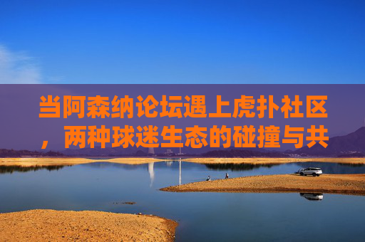 当阿森纳论坛遇上虎扑社区，两种球迷生态的碰撞与共鸣，阿森纳论坛遇上虎扑，球迷生态的碰撞与共鸣