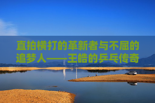 直拍横打的革新者与不屈的追梦人——王皓的乒乓传奇 直拍横打的革新者与不屈的追梦人——王皓的乒乓传奇