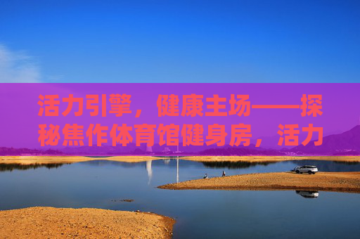 活力引擎，健康主场——探秘焦作体育馆健身房，活力引擎，健康主场——焦作体育馆健身房