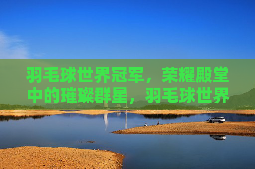 羽毛球世界冠军，荣耀殿堂中的璀璨群星，羽毛球世界冠军，荣耀殿堂的璀璨群星