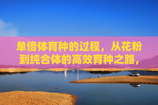 单倍体育种的过程，从花粉到纯合体的高效育种之路，单倍体育种，从花粉到纯合体的高效育种之路