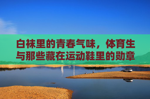 白袜里的青春气味,体育生与那些藏在运动鞋里的勋章,白袜藏青春,鞋履印勋章 白袜里的青春气味,体育生与那些藏在运动鞋里的勋章,白袜藏青春,鞋履印勋章
