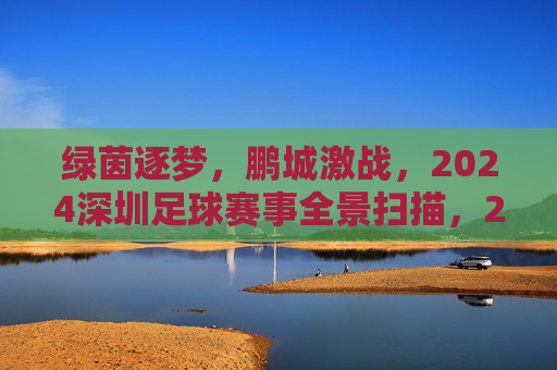 绿茵逐梦,鹏城激战,2024深圳足球赛事全景扫描,2024深圳足球赛事全景扫描,绿茵逐梦鹏城激战 绿茵逐梦,鹏城激战,2024深圳足球赛事全景扫描,2024深圳足球赛事全景扫描,绿茵逐梦鹏城激战