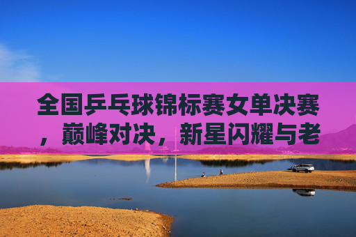 全国乒乓球锦标赛女单决赛，巅峰对决，新星闪耀与老将坚守，全国乒乓球锦标赛女单决赛，巅峰对决，新星闪耀老将坚守