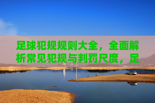 足球犯规规则大全,全面解析常见犯规与判罚尺度,足球犯规规则大全,常见犯规与判罚尺度全面解析 足球犯规规则大全,全面解析常见犯规与判罚尺度,足球犯规规则大全,常见犯规与判罚尺度全面解析