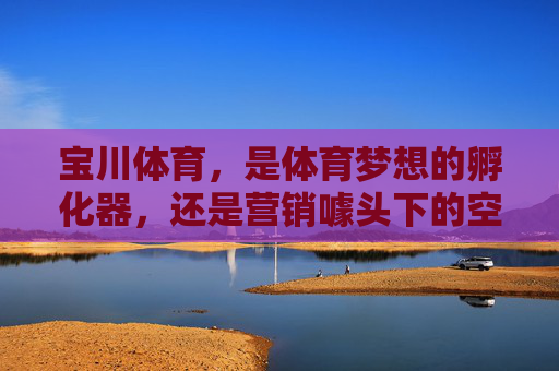宝川体育，是体育梦想的孵化器，还是营销噱头下的空中楼阁？宝川体育，体育梦想孵化器还是营销噱头空中楼阁？