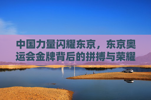 中国力量闪耀东京，东京奥运会金牌背后的拼搏与荣耀，中国力量闪耀东京，奥运金牌背后的拼搏与荣耀
