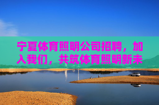 宁夏体育照明公司招聘，加入我们，共筑体育照明新未来！