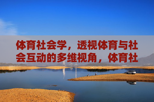 体育社会学,透视体育与社会互动的多维视角,体育社会学,体育与社会互动的多维透视 体育社会学,透视体育与社会互动的多维视角,体育社会学,体育与社会互动的多维透视
