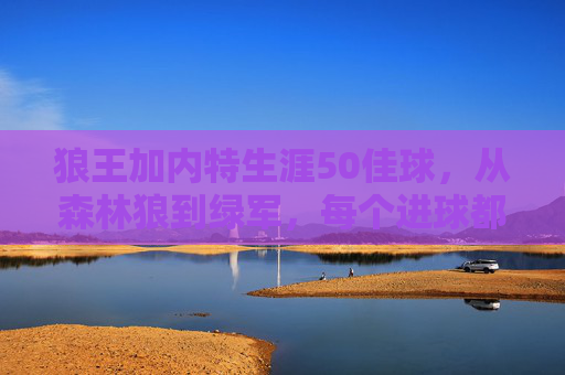 狼王加内特生涯50佳球,从森林狼到绿军,每个进球都是热血与传奇的交响,狼王加内特生涯50佳球,从森林狼到绿军的热血与传奇交响 狼王加内特生涯50佳球,从森林狼到绿军,每个进球都是热血与传奇的交响,狼王加内特生涯50佳球,从森林狼到绿军的热血与传奇交响