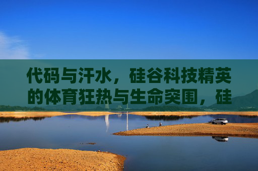 代码与汗水,硅谷科技精英的体育狂热与生命突围,硅谷科技精英,体育狂热中的代码与生命突围 代码与汗水,硅谷科技精英的体育狂热与生命突围,硅谷科技精英,体育狂热中的代码与生命突围
