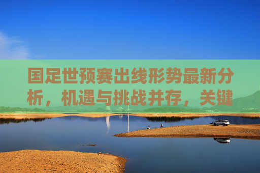 国足世预赛出线形势最新分析，机遇与挑战并存，关键战役定生死，国足世预赛出线形势，机遇挑战并存，关键战役定生死