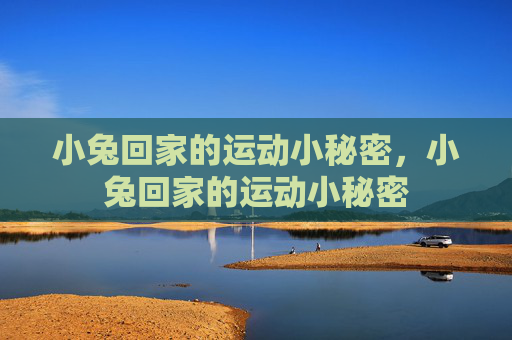 小兔回家的运动小秘密,小兔回家的运动小秘密 小兔回家的运动小秘密,小兔回家的运动小秘密