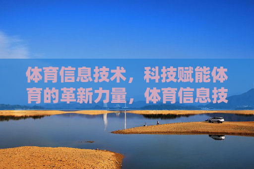 体育信息技术，科技赋能体育的革新力量，体育信息技术，科技赋能的革新力量
