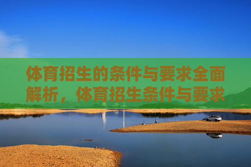 体育招生的条件与要求全面解析，体育招生条件与要求全解析