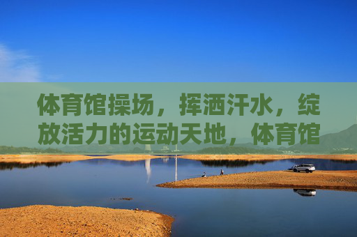 体育馆操场，挥洒汗水，绽放活力的运动天地，体育馆操场，挥洒汗水绽放活力的运动天地