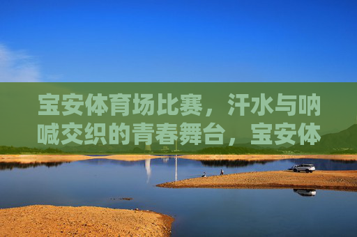 宝安体育场比赛,汗水与呐喊交织的青春舞台,宝安体育场,汗水呐喊交织的青春舞台 宝安体育场比赛,汗水与呐喊交织的青春舞台,宝安体育场,汗水呐喊交织的青春舞台
