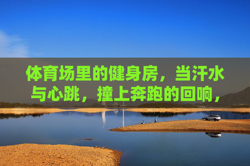 体育场里的健身房,当汗水与心跳,撞上奔跑的回响,体育场健身房,汗水心跳撞奔跑回响 体育场里的健身房,当汗水与心跳,撞上奔跑的回响,体育场健身房,汗水心跳撞奔跑回响