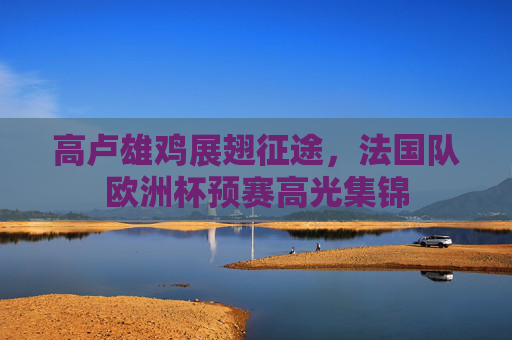 高卢雄鸡展翅征途,法国队欧洲杯预赛高光集锦 高卢雄鸡展翅征途,法国队欧洲杯预赛高光集锦