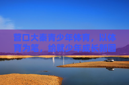 营口大秦青少年体育，以体育为笔，绘就少年成长新图景，营口大秦体育，以笔绘少年成长新景