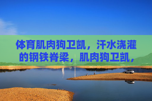 体育肌肉狗卫凯，汗水浇灌的钢铁脊梁，肌肉狗卫凯，汗水浇灌的钢铁脊梁