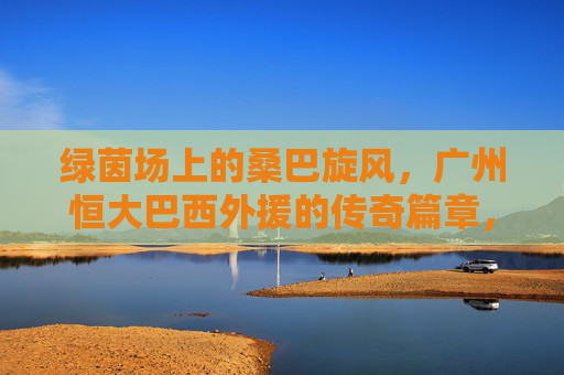 绿茵场上的桑巴旋风，广州恒大巴西外援的传奇篇章，广州恒大巴西外援，绿茵场上的桑巴传奇