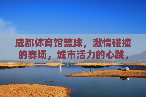 成都体育馆篮球，激情碰撞的赛场，城市活力的心跳，成都体育馆篮球，激情碰撞的城市心跳