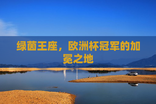 绿茵王座,欧洲杯冠军的加冕之地 绿茵王座,欧洲杯冠军的加冕之地