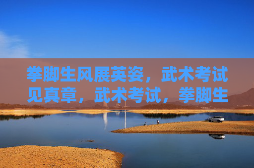 拳脚生风展英姿,武术考试见真章,武术考试,拳脚生风见真章 拳脚生风展英姿,武术考试见真章,武术考试,拳脚生风见真章