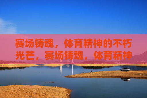赛场铸魂，体育精神的不朽光芒，赛场铸魂，体育精神不朽光芒