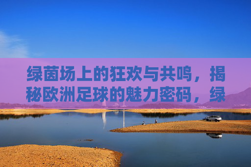 绿茵场上的狂欢与共鸣,揭秘欧洲足球的魅力密码,绿茵狂欢,欧洲足球的魅力密码 绿茵场上的狂欢与共鸣,揭秘欧洲足球的魅力密码,绿茵狂欢,欧洲足球的魅力密码