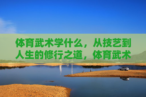 体育武术学什么，从技艺到人生的修行之道，体育武术，从技艺到人生的修行之道