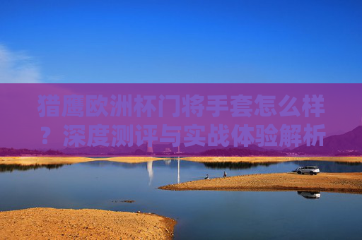 猎鹰欧洲杯门将手套怎么样？深度测评与实战体验解析，猎鹰欧洲杯门将手套深度测评，实战体验解析