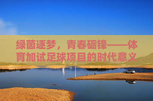 绿茵逐梦，青春砺锋——体育加试足球项目的时代意义与成长启示，绿茵逐梦，青春砺锋——体育加试足球的时代意义与成长启示