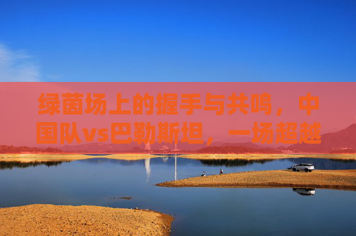 绿茵场上的握手与共鸣，中国队vs巴勒斯坦，一场超越胜负的足球对话，中巴绿茵握手，超越胜负的足球对话