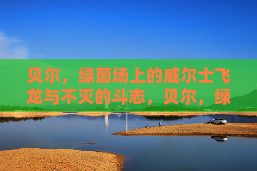 贝尔,绿茵场上的威尔士飞龙与不灭的斗志,贝尔,绿茵飞龙,斗志不灭 贝尔,绿茵场上的威尔士飞龙与不灭的斗志,贝尔,绿茵飞龙,斗志不灭